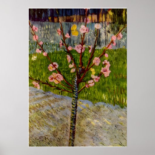 Vincent Van Gogh art Poster (Voorkant)