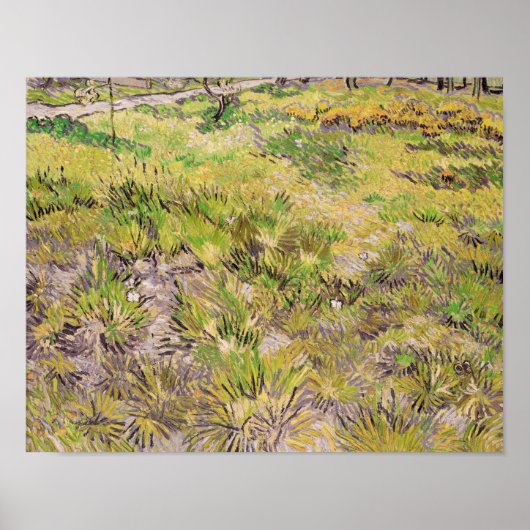 Vincent van Gogh | Beweide met Butterflies, 1890 Poster (Voorkant)
