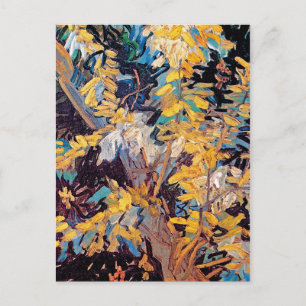 Vincent Van Gogh - Bloeiende Acaciatakken Briefkaart
