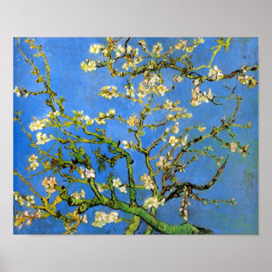 Vincent Van Gogh - Bloeiende amandelboom Kunst Poster