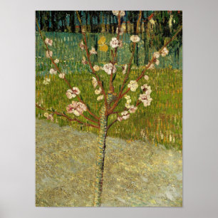 Vincent van Gogh - Bloeiende amandelboom Poster