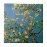 Vincent van Gogh - Bloeiende amandelboom Tegeltje<br><div class="desc">Blossoming Almond Tree (1890) van Van Gogh is een post-impressionisme, een mooie kunstschilderij die nog leeft. Een tak van een amandelboom in bloem in een lentuin met de blauwe hemel op de achtergrond. Mooie witte bloemen. Over de kunstenaar: Vincent Willem van Gogh (1853-1890) was een postimpressionistische schilder wiens werk het...</div>