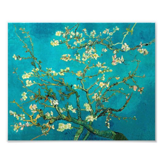 Vincent Van Gogh Blossoming Almond Tree Art Foto Afdruk (Voorkant)