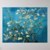 Vincent van Gogh, Blossoming Almond Tree Poster (Voorkant)
