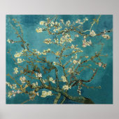 Vincent Van Gogh - Blossoming-amandelboom Poster (Voorkant)