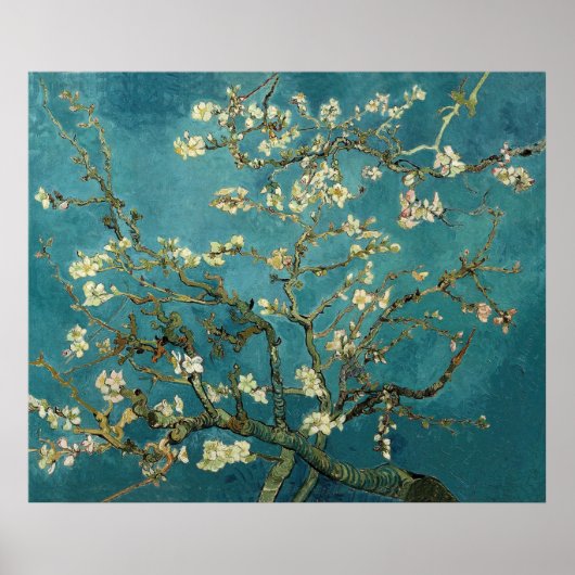 Vincent Van Gogh - Blossoming-amandelboom Poster (Voorkant)