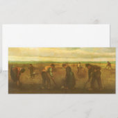 Vincent van Gogh - Boeren die aardappels planten  (Voorkant / Achterkant)