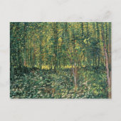 Vincent van Gogh | Bomen en ondergroei, 1887 Briefkaart (Voorkant)
