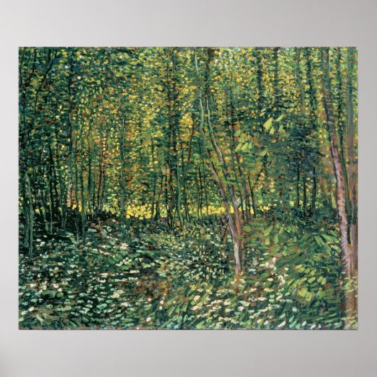 Vincent van Gogh | Bomen en ondergroei, 1887 Poster (Voorkant)