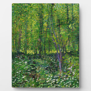 Vincent Van Gogh Bomen En Ondergroei Fotoplaat