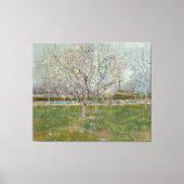 Vincent van Gogh - Boomgaard in bloei Canvas Afdruk (Voorkant)