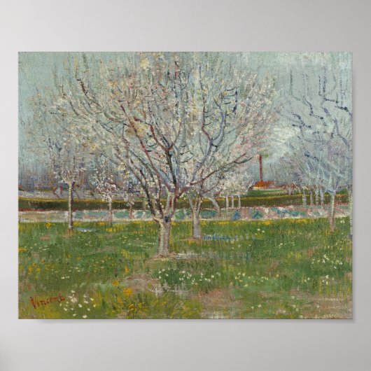 Vincent van Gogh - Boomgaard in bloei Poster (Voorkant)
