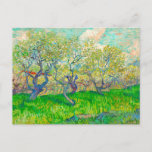 Vincent van Gogh Boomgaard in Blossom Briefkaart<br><div class="desc">Briefkaart met het olieverfschilderij Orchard in Blossom van Vincent van Gogh (1889). Mooie pruimenbomen bloeien hun bladeren en fruit in Arles,  Frankrijk. Een prachtig cadeau voor liefhebbers van het post-impressionisme en Nederlandse kunstverzamelaars!</div>