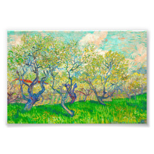 Vincent van Gogh Boomgaard in Blossom Foto Afdruk