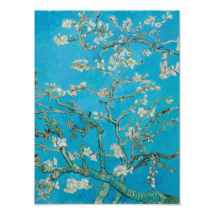 Vincent Van Gogh - Branches met Almond Blossom, Foto Afdruk