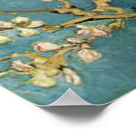 Vincent van Gogh Branches met Almond Blossom Poster (Hoek)