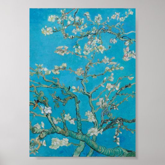 Vincent Van Gogh - Branches met Almond Blossom Poster (Voorkant)