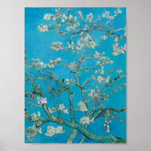 Vincent Van Gogh - Branches met Almond Blossom, Poster
