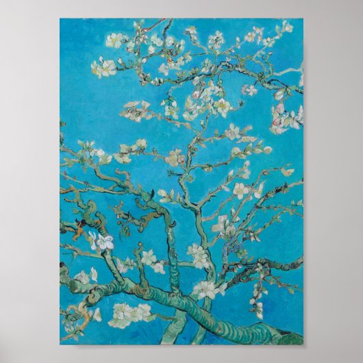 Vincent Van Gogh - Branches met Almond Blossom, Poster (Voorkant)