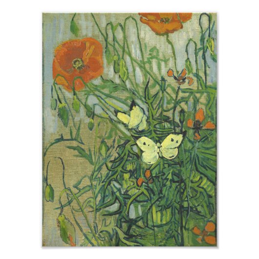 Vincent Van Gogh - Butterflies en poppies Foto Afdruk (Voorkant)