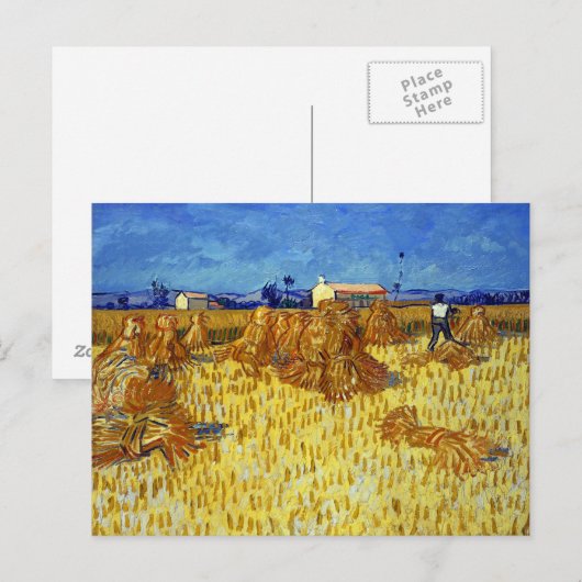 Vincent van Gogh Corn Harvest in Provence Briefkaart (Voorkant / Achterkant)