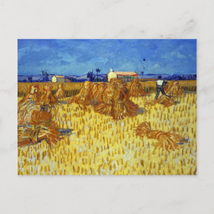 Vincent van Gogh Corn Harvest in Provence Briefkaart