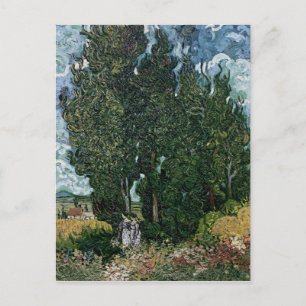 Vincent van Gogh Cypressen, c.1889-90 Briefkaart