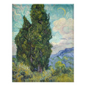 Vincent van Gogh - Cypresses Foto Afdruk (Voorkant)