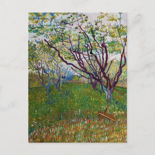 Vincent van Gogh - De Bloeiende Boomgaard Briefkaart (Voorkant)