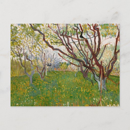 Vincent van Gogh - De bloeiende Orchard Briefkaart (Voorkant)