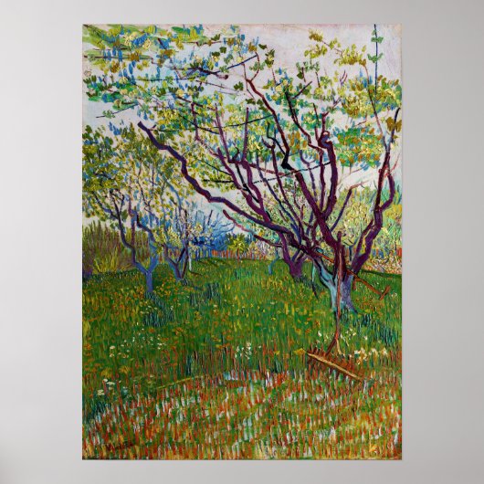 Vincent van Gogh - De bloeiende Orchard Poster (Voorkant)