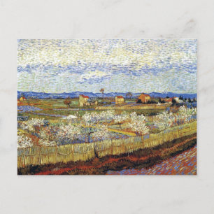 Vincent Van Gogh - De Crau met perzikbomen Briefkaart