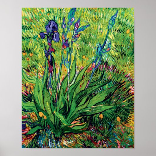 Vincent Van Gogh - De Iris - Bloemenliefhebber Pop Poster (Voorkant)