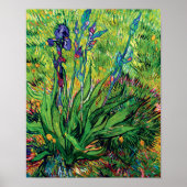 Vincent Van Gogh - de Iris - de Flower Lover Pop A Poster (Voorkant)