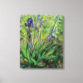 Vincent Van Gogh - de Iris Natuur Lover Fine Art Canvas Afdruk (Voorkant)