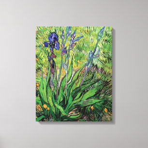 Vincent Van Gogh - De Iris Natuurliefhebber Kunsts Canvas Afdruk