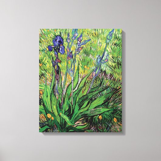 Vincent Van Gogh - De Iris Natuurliefhebber Kunsts Canvas Afdruk (Voorkant)