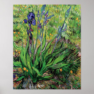 Vincent Van Gogh - De Iris Natuurliefhebber Kunsts Poster