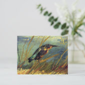 Vincent Van Gogh - de Kingfisher - de Bird Lover A Briefkaart (Staand voorkant)