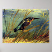 Vincent Van Gogh - de Kingfisher - de Bird Lover A Poster (Voorkant)
