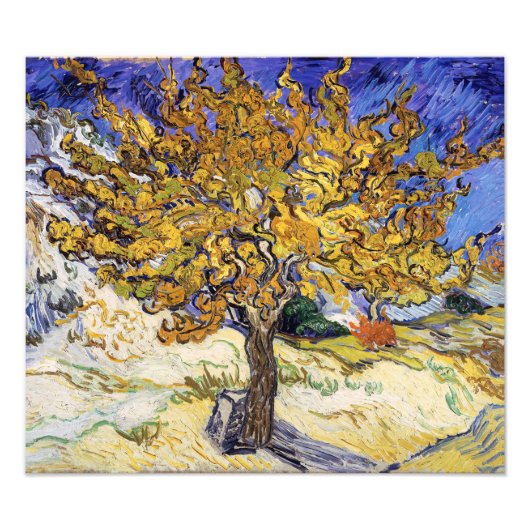 Vincent van Gogh - De Moerbeboom Foto Afdruk (Voorkant)
