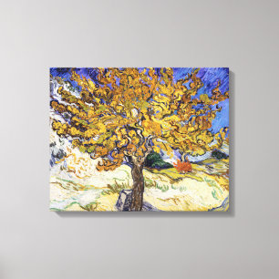 Vincent van Gogh - De Mulberry-boom Canvas Afdruk