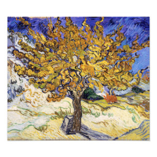 Vincent van Gogh - De Mulberry-boom Foto Afdruk