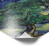 Vincent van Gogh - De Olijfbomen Foto Afdruk (Hoek)