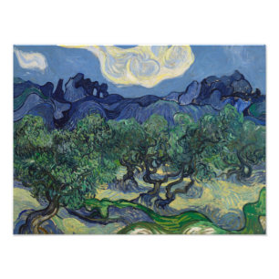 Vincent van Gogh - De Olijfbomen Foto Afdruk