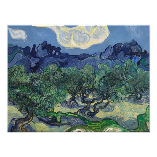 Vincent van Gogh - De Olijfbomen Foto Afdruk (Voorkant)