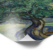 Vincent van Gogh - De Olijfbomen Foto Afdruk (Hoek)