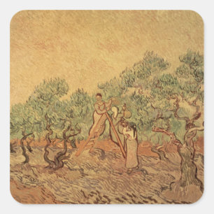 Vincent van Gogh De olijventeelt, 1889 Vierkante Sticker