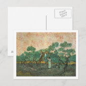 Vincent van Gogh | De olijventelers, Saint-Remy Briefkaart (Voorkant / Achterkant)