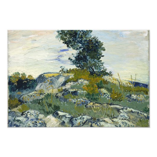Vincent van Gogh - De Rocks Foto Afdruk (Voorkant)